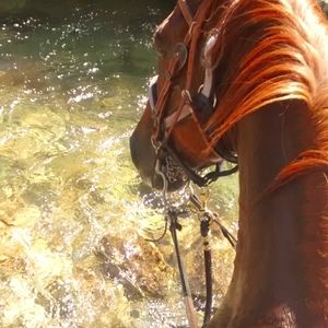 Nothing to sell at the moment